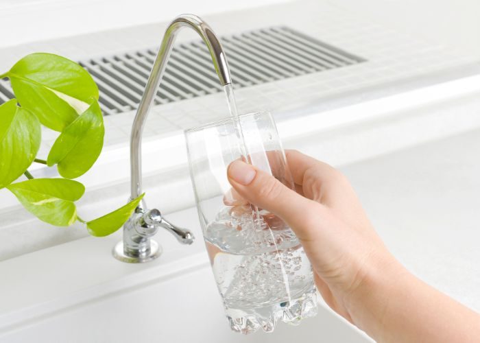 Whole Home Water Filter
